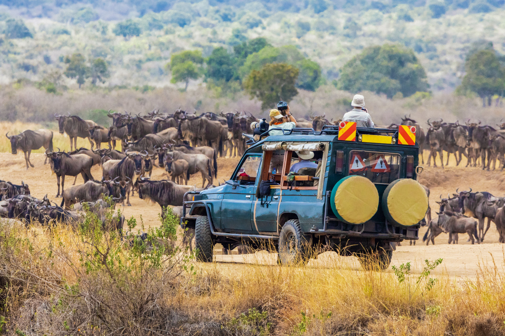 Photographers shooting wildebeest in the Masai Mara