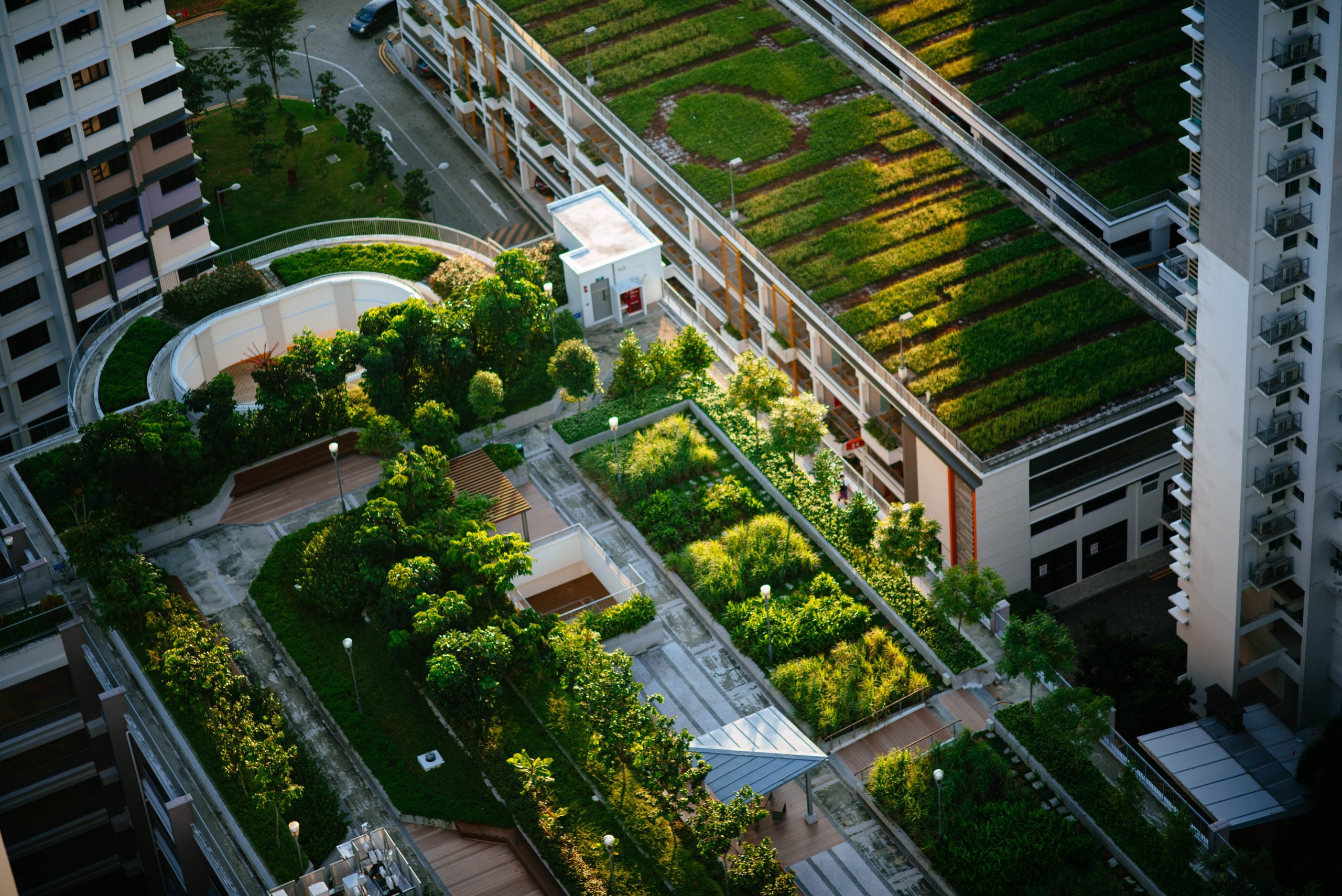 Apartment rooftops with green gardens and a ray of sun.