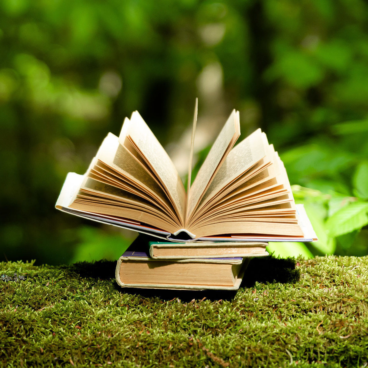 Books lying on green moss 