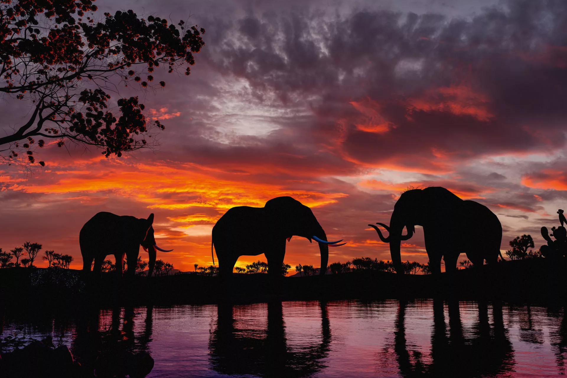 Elephants against an African sunset